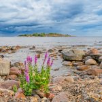 Фото: як перевірити квартиру перед купівлею - Як перевірити квартиру перед купівлею