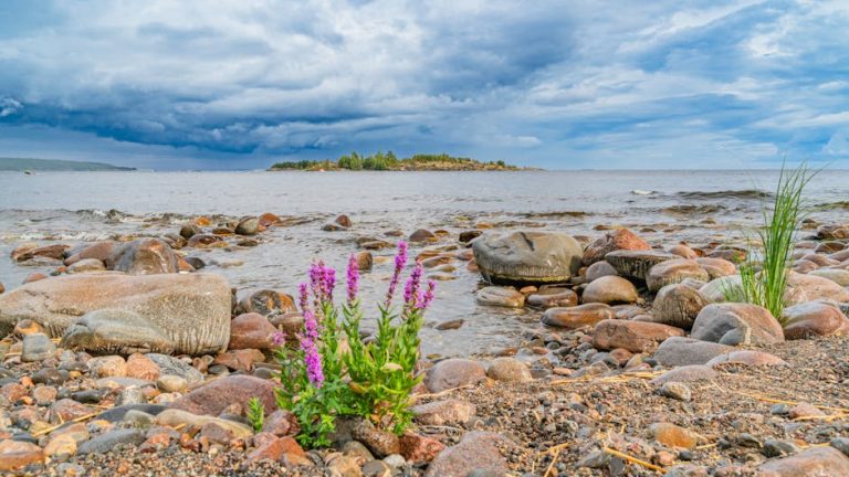 Фото: як перевірити квартиру перед купівлею - Як перевірити квартиру перед купівлею